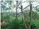 12 Abelia Place, Umina Beach NSW 2257