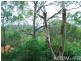 12 Abelia Place, Umina Beach NSW 2257
