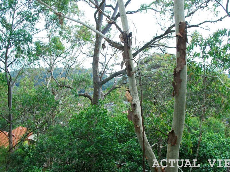 12 Abelia Place, Umina Beach NSW 2257