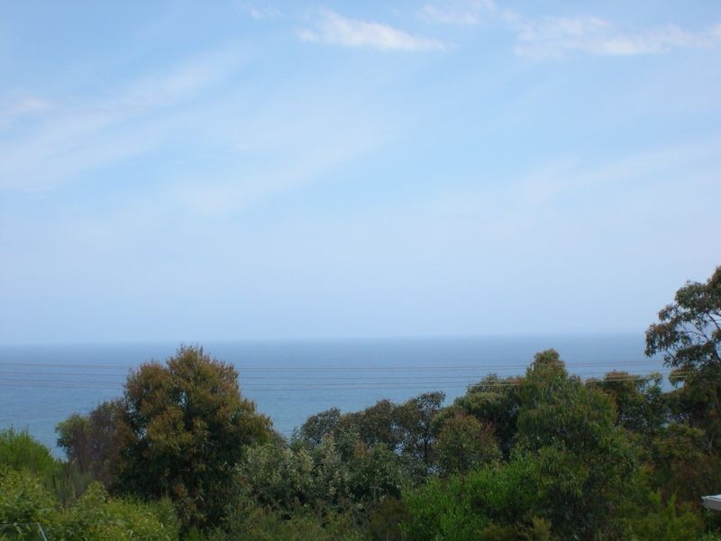 21 Babs Rd, Killcare Heights NSW 2257