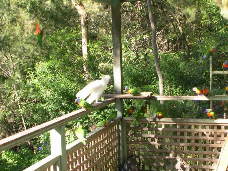 46 Gabagong Rd, Horsfield Bay NSW 2256