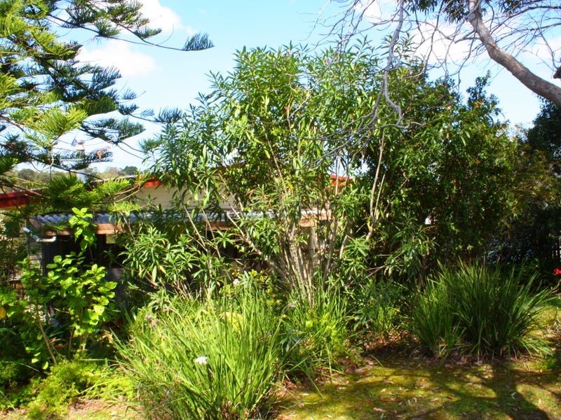 33 Carbeen Street, Gateshead NSW 2290