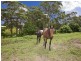 24 Curry Street, Cardiff NSW 2285