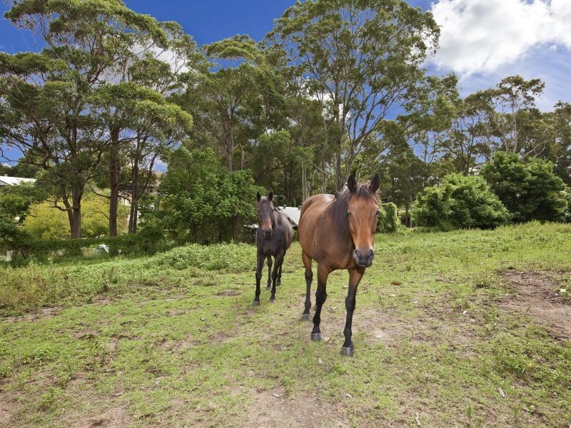 24 Curry Street, Cardiff NSW 2285