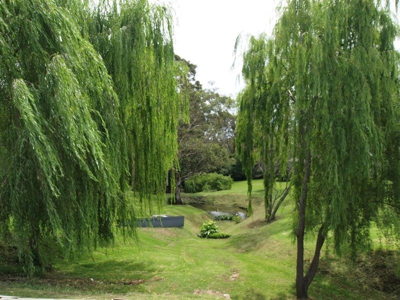 167 Old Warners Bay Road, Mount Hutton NSW 2290