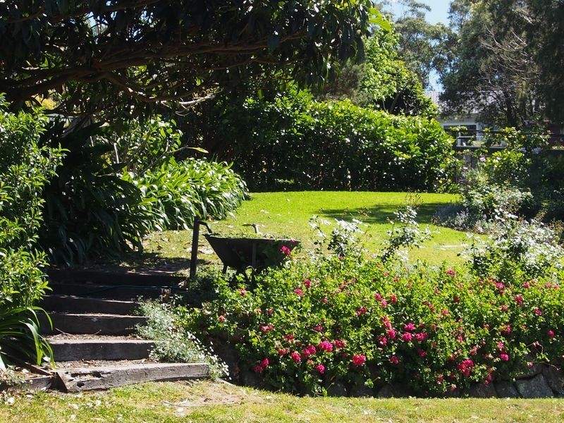 Cardiff Heights NSW 2285