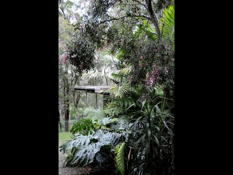 7 Yarrabee Close, Charlestown NSW 2290