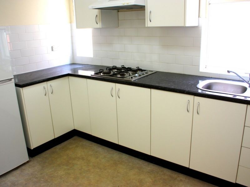 Unit 3/95 Wolfe Street, The Hill NSW 2300