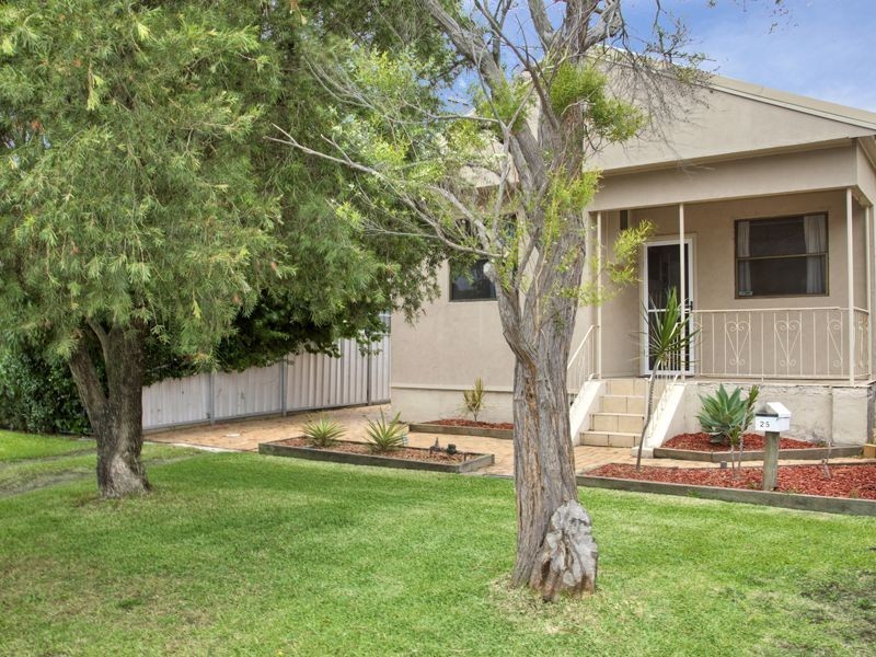 25 Russell Street, Cardiff NSW 2285