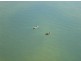 Twin Waters QLD 4564