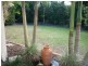 Twin Waters QLD 4564