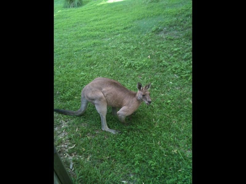 Twin Waters QLD 4564