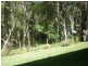 Mount Coolum QLD 4573