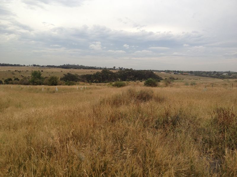 17 Musk Court, Westmeadows VIC 3049