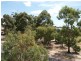 9A/48 Boadle Road, Bundoora VIC 3083