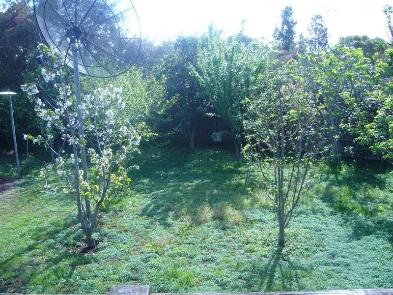 1/17 Nicholson Crescent, Meadow Heights VIC 3048