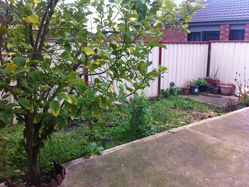 3 Blackwood Way, Delahey VIC 3037