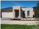 16 Wisteria Avenue, Craigieburn VIC 3064