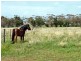 1616 Boundary Road, Mount Cottrell VIC 3024