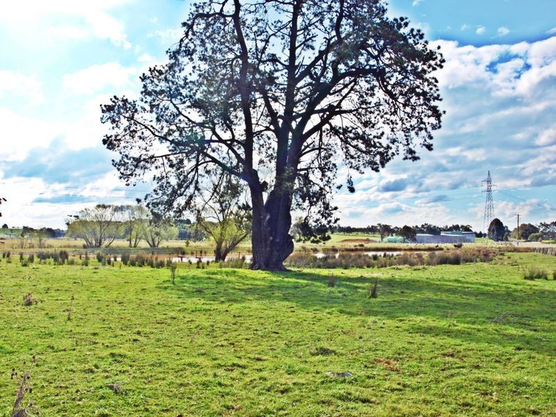 171 Kooroocheang Road, Blampied VIC 3364