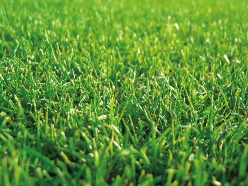 23 San Marco, Greenvale VIC 3059