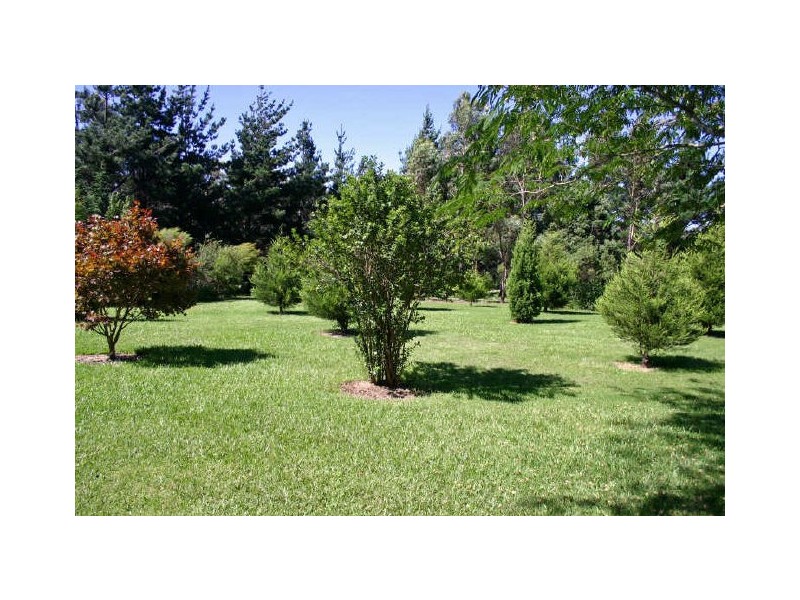 Fitzroy Falls NSW 2577