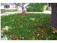 Moss Vale NSW 2577