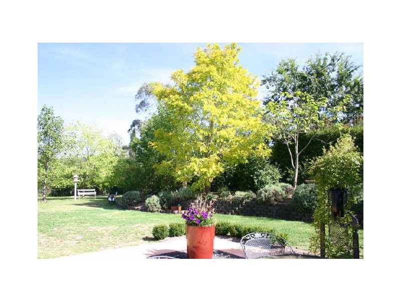 19 Nerang Street, Burradoo NSW 2576