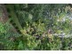 Bowral NSW 2576
