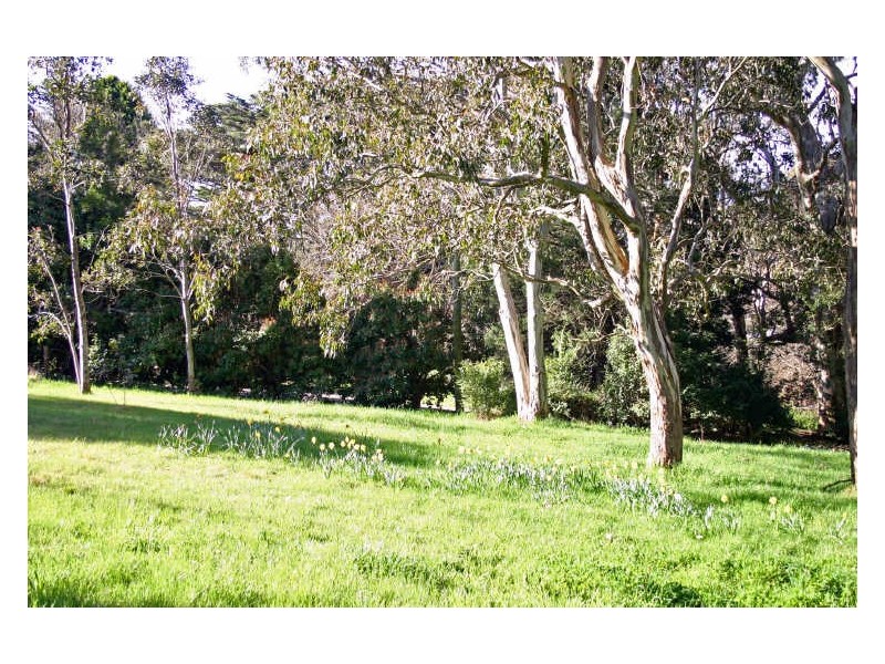 11 Woodville Road, Moss Vale NSW 2577