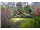 58 Railway Terrace, Willow Vale NSW 2575