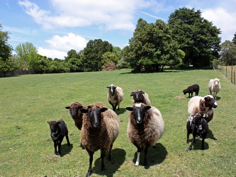 21-25 South Street, Robertson NSW 2577