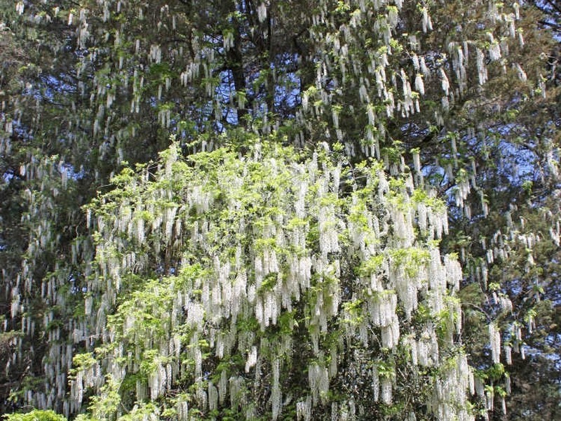 Maloya/18 & 18a Gladstone Road, Bowral NSW 2576