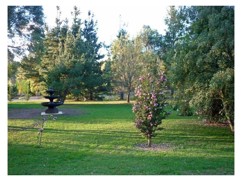 43 Alpine Close, Colo Vale NSW 2575