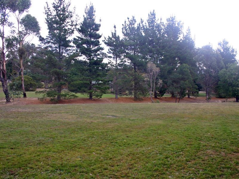 43 Alpine Close, Colo Vale NSW 2575