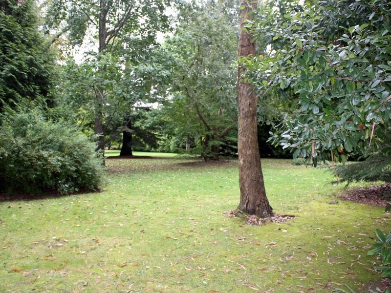 5591 Illawarra Highway, Burrawang NSW 2577