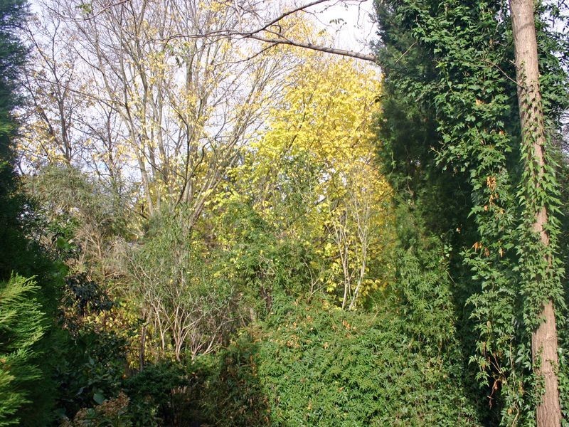 55 Oxley Hill Road, Bowral NSW 2576