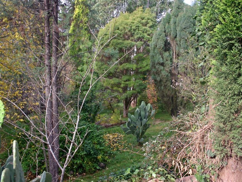 55 Oxley Hill Road, Bowral NSW 2576