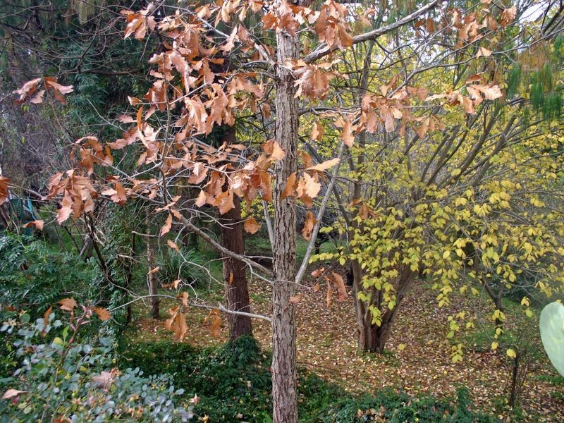 55 Oxley Hill Road, Bowral NSW 2576