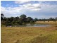 Colo Vale NSW 2575