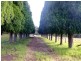 Colo Vale NSW 2575