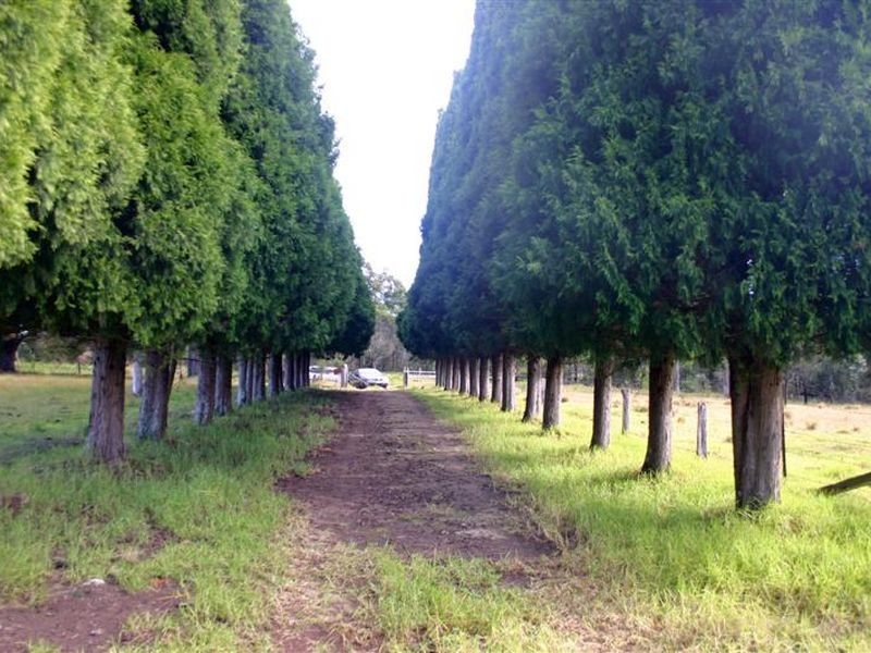 Colo Vale NSW 2575