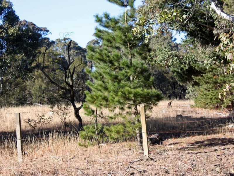 Lot 2 Murrimba Road, Wingello NSW 2579
