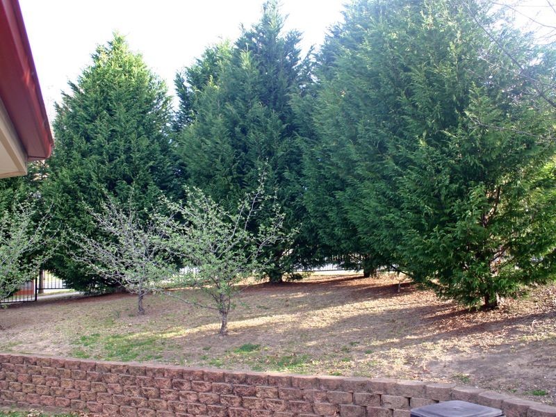 2/15 Mack, Moss Vale NSW 2577