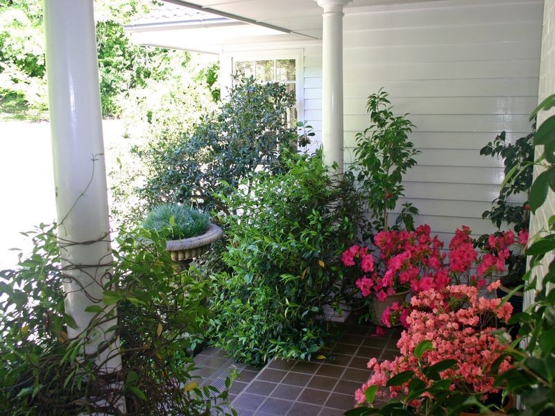 Wongaburra Hill Road, Moss Vale NSW 2577