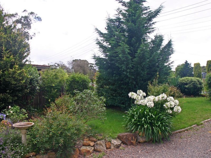 1 Willow Street, Willow Vale NSW 2575