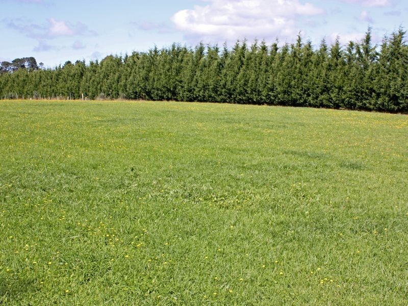 Bundarra Lot 34 Ellsmore Road, Exeter NSW 2579