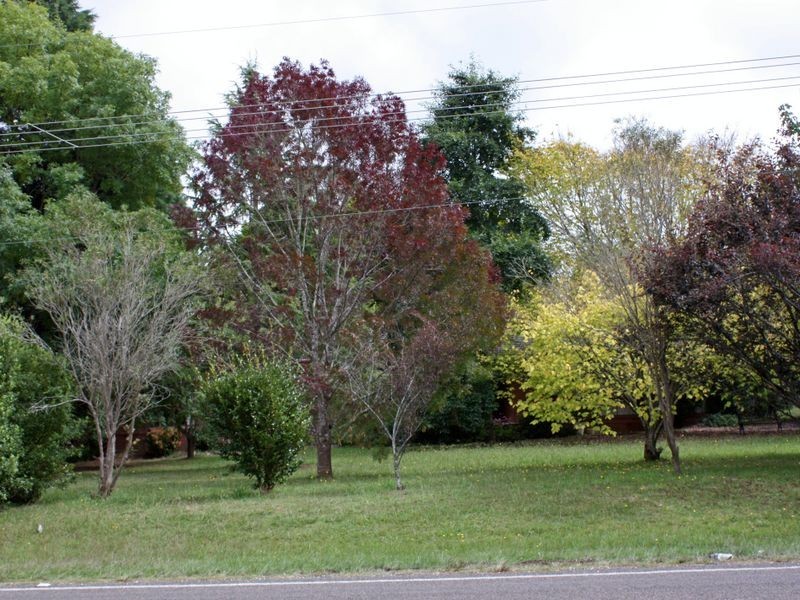 2 Elizabeth Street, Burradoo NSW 2576