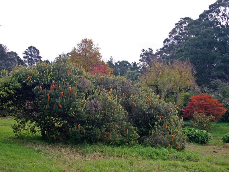 1261 Wilson Drive, Hill Top NSW 2575