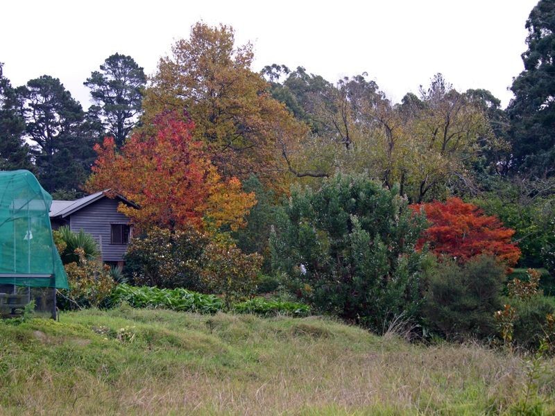 1261 Wilson Drive, Hill Top NSW 2575